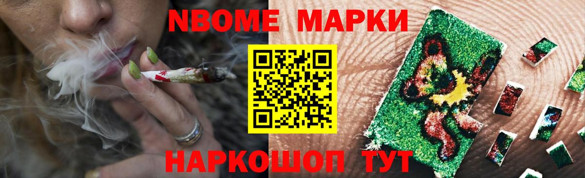 МЕФ Кингисепп
