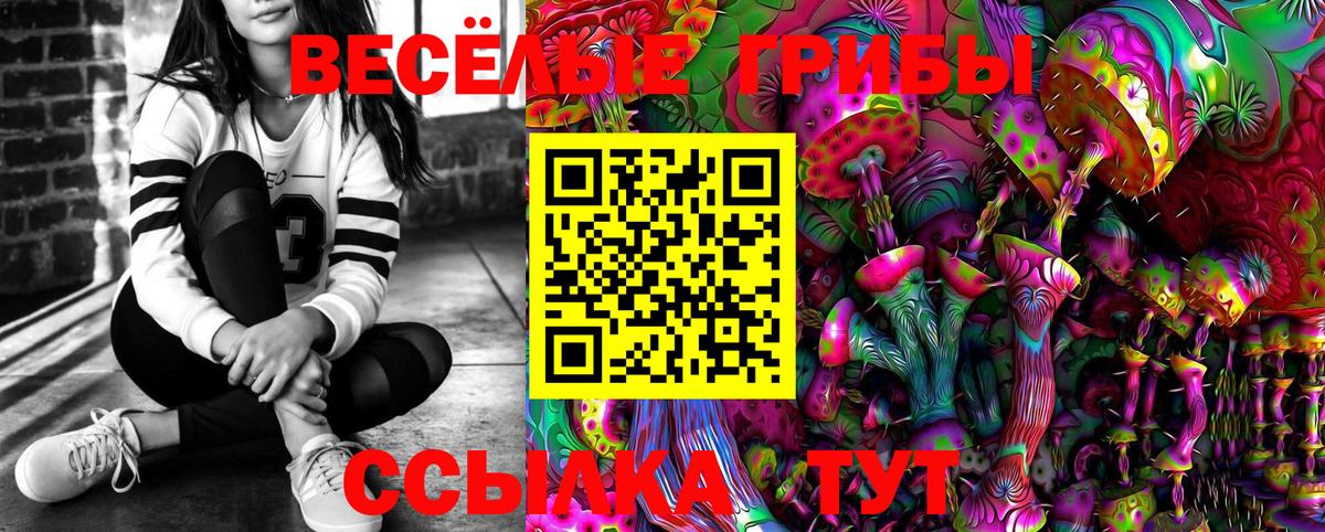 Галлюциногенные грибы Psilocybe  Вход с VPN  Кингисепп 