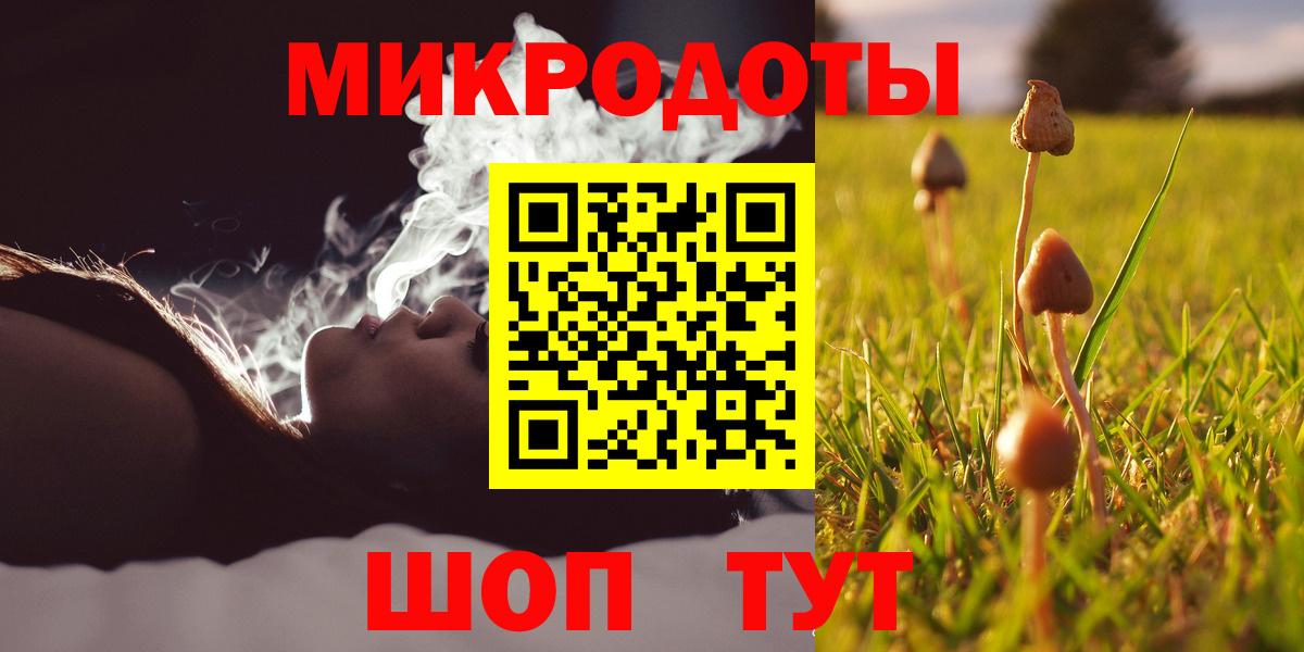Галлюциногенные грибы MAGIC MUSHROOMS Кингисепп